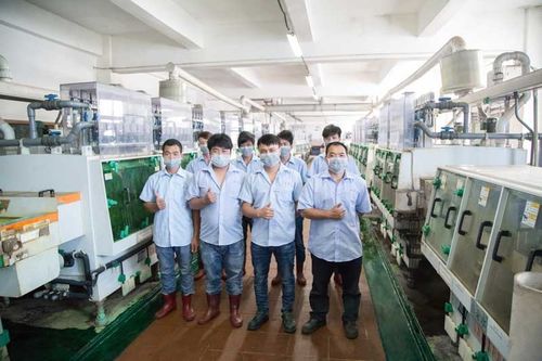 BYD ve XinHaiSen arasında Başarılı Bir İşbirliği